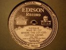 EDISON 52164 GOLDEN GATE ORCH Make My Cot Where The Cot-Cot-Cotton Grows/For E