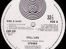 STILL LIFE RARE ORIGINAL CANADIAN VERTIGO ONE OF A LIFE TIME CHANCE STUNNING 
