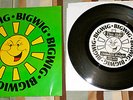 EX Bigwig Self Titled Black Vinyl Record on Fueled by Ramen belvedere nofx punk