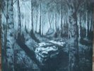 BURZUM - Hlidskjalf