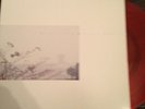 WILD NOTHING Golden Haze EP LTD red vinyl rare
