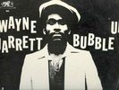 WAYNE JARRETT - Bubble Up - Wackie's LP - 1982