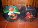 PINK FLOYD - DARK SIDE OF THE MOON LIVE 73 LP  COLLECTOR PICTURE DISC 