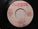 Flipside Havin A Party Music Get's Me High rare private modern soul funk 45 NM
