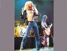 2-LP Led Zeppelin - Trampled underfoot, unofficial, clear Rarität