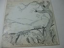 RARE LEE FARMER : TO A WESTERN SKY PRIVATE FOLK PSYCH PROG HEAR