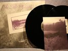 In The Woods - Heart of the ages  2 x Vinyl Lp  First Press RAR