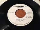 RARE NORTHERN SOUL  BEN ZINE  (Village of tears / What the heck...) PROMO EX