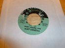 Ruby Andrews The Love I Need Just Loving You Zodiac 1010 northern soul 45