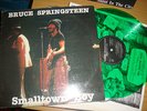Bruce Springsteen-smalltown Boy,SWINGIN PIG,grünes Vinyl