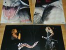 WHITESNAKE - Reptile Kiss (Live in Ludwigshafen, 03.03.1983)