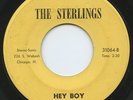 Rare R&B / Soul 45 - The Sterlings - Hey Boy - Stereo-Sonic # 31064 - LISTEN