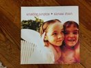 Smashing Pumpkins Siamese Dream double vinyl record