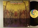 American Blues  Do Their Thing     Psych   Pre ZZ Top