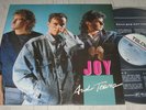 JOY - Joy And Tears LP   Euro Dance Pop   Korea TELDEC  Insert