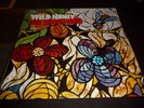 BEACH BOYS ORIGINAL RARE WHITE LABEL TEST PRESS WILD HONEY STEREO LP