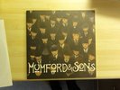 Mumford & and sons 10