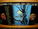 IRON MAIDEN-FEAR OF THE DARK-2-LP/ Black Vinyl, First Press-EMI-7991611