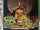 THE FLAMING LIPS EP 1987 RARE ENIGMA NETHERLANDS PRESSING 2188-1 12