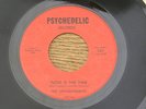 UNTOUCHABLES NOW IS THE TIME PSYCHEDELIC orig US GARAGE PUNK BEAT FARFISA 7