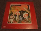 THE MUTUAL UNDERSTANDING  In Wonderland  CBC TRANSCRIPTION  Sunshine Pop