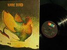 MINT KEEPER 1969 ORIG = 1st RARE BIRD   HAMMOND + KEYS DARK LUSH PROG Caravan