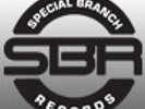 Special Branch Records: Liquid / Soulful Drum & Bass Vinyl Pack - Free UK P&P