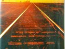 Starsailor 2001 Love Is Here LP Holland Import OOP Still Factory Sealed Mint NR