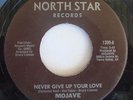 CROSSOVER MODERN SOUL 45 MOJAVE Never Give Up Your Love NORTH STAR;RARE;HEAR