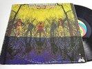 American Blues - Do Their Thing-LP/Vinyl/Record