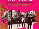 THE V.I.P´S  •  WHAT'S THAT SOUND  •  1967 FRENCH EP FONTANA 460.238   MINT