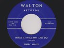 Indiana Country Bopper JIMMY WALLS What a Little Kiss Can Do WALTON HEAR NOW