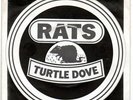 THE RATS. Turtle Dove.      Very Rare 70's Rock. Glam / Punk.