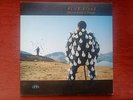 Pink Floyd  Delicate Sound of Thunder 2 LP HUNGARY edition EX++
