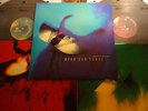 Dead Can Dance Spiritchaser 2LP Rare UK 1996 Original NM- Vinyl Record +sleeves