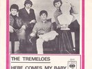THE TREMELOES - HERE COMES MY BABY - GENTLEMEN OF PLEASURE - SWEDISH SP 1967