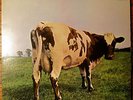 PINK FLOYD Atom Heart Mother LP QUADRAPHONIC SQ cov. Q4 SHVL 781 Vinyl Record