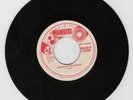 TEEZY - WANTED BY THE MASSIVE 7 INCH WAMBESI