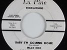 R&B Soul 45 MACK RICE Baby I'm Coming Home LU PINE DJ HEAR