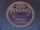 Lew Gold ANNETTE HANSHAW VOCAL / Willard Robison PERFECT 14907 Paul Hagen