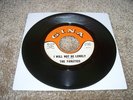RARE GARAGE-FANATICS-I WILL NOT BE LONELY/BE MINE-HEAR BOTH