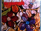 BEACH BOYS WILD HONEY RARE ORIG '67 CAPITOL MONO LP IN SHRINK WRAP VERY NICE