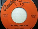 Rare Garage Rock 7