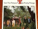 THE PRETTY THINGS GET THE PICTURE? GERMAN FONTANA LP ALBUM 687359 TL GRAVEYARD