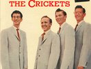 CRICKETS -  BRUNSWICK 71038 -  THE SOUND OF,  M-/M-/VG+