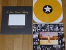 NEW FOUND GLORY Nothing Gold Can Stay VINYL LP /1500 wonder years.fall out boy