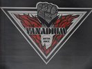 Vanadium - Metal rock