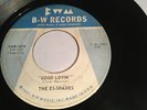RARE OHIO GARAGE 45/ THE ES-SHADES 