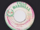 STILL COOL What A Shame * HEAVY ROOTS / DUB * Field Marshall * HEAR