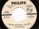 Dick St. John - You Know What I Mean - Philips  Killer 1965 Fuzz Garage 45  Hear